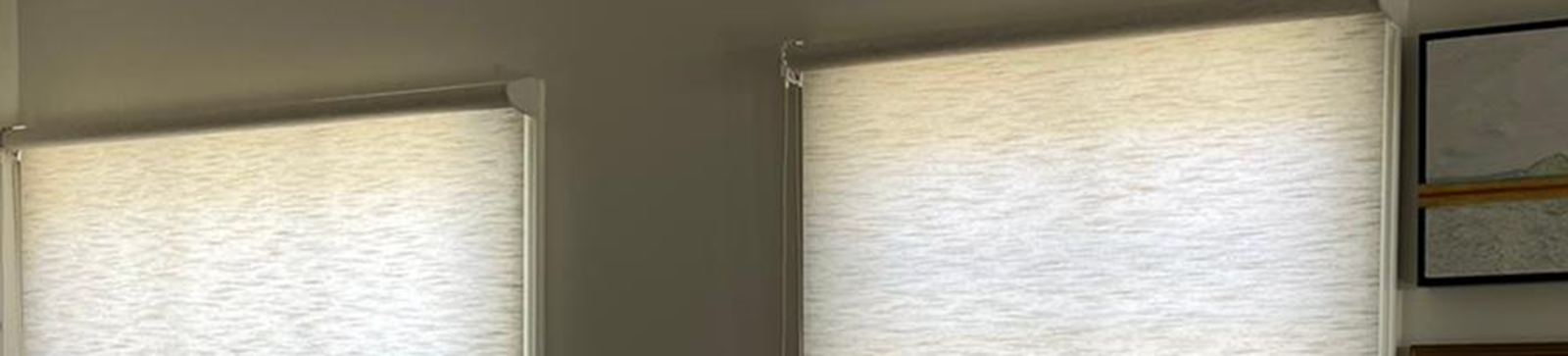 Roller Fabric Shades Pleasant Hill